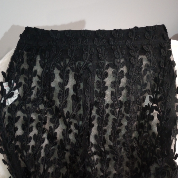 See through lace type pants. - Picture 2 of 4